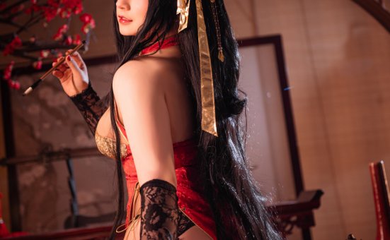 Zyra秋 – NO.05 大凤 [15P-290MB]