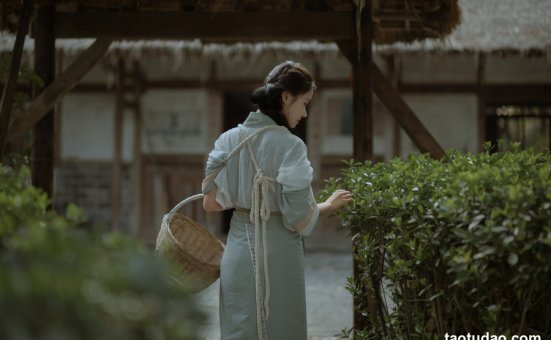 [YITUYU艺图语]2023.04.26 无花无酒锄作田 姌Rr[31+1P／356MB]